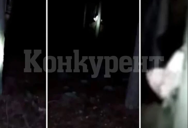 Младеж засне ВИДЕО със загадъчно същество, раздиращо нощта с викове