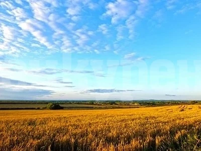 Днес ни очаква горещо време