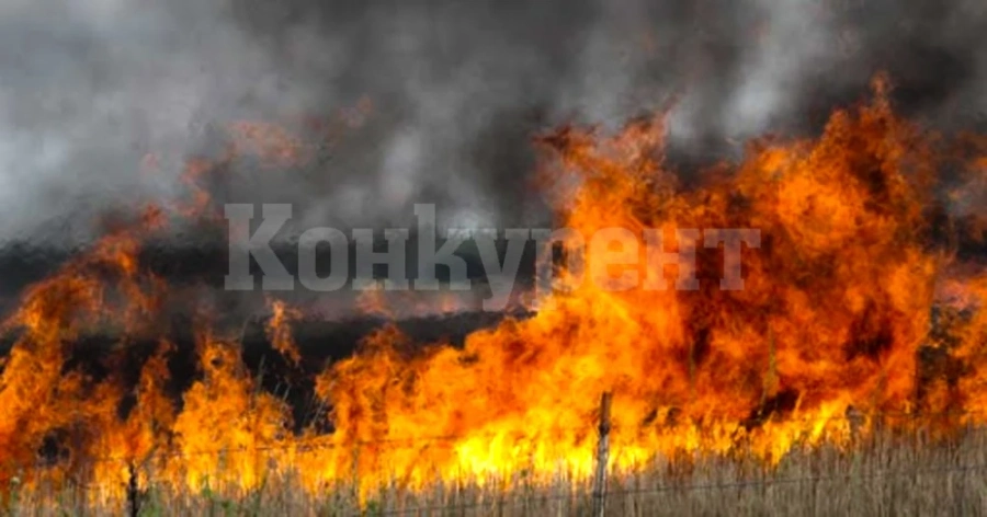 Пожар изпепели нива край Хайредин