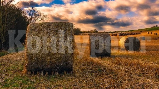 Огън вилня в Галиче, погълна над 100 рулона с люцерна