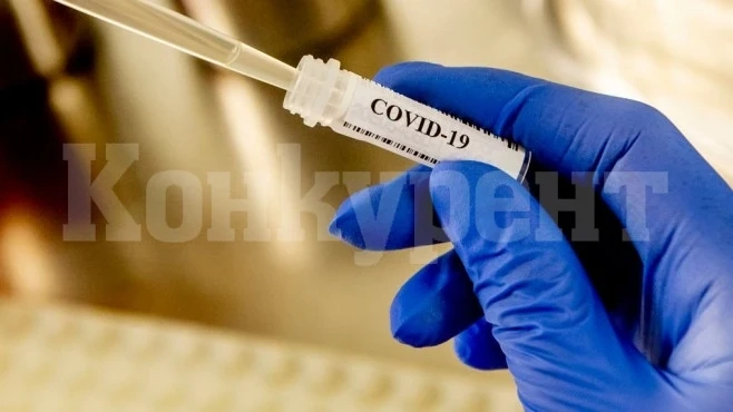 21 са активните с COVID-19 във Видинско