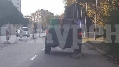 Условна присъда за шофьор от Варна, влачил куче с колата си