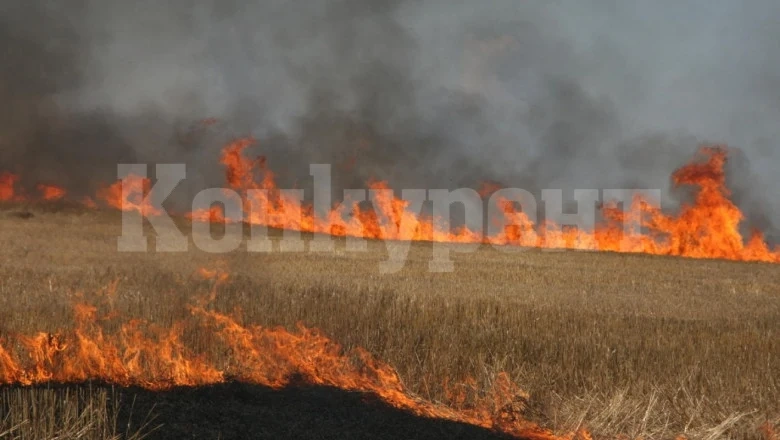 Полицията потвърди новина на \