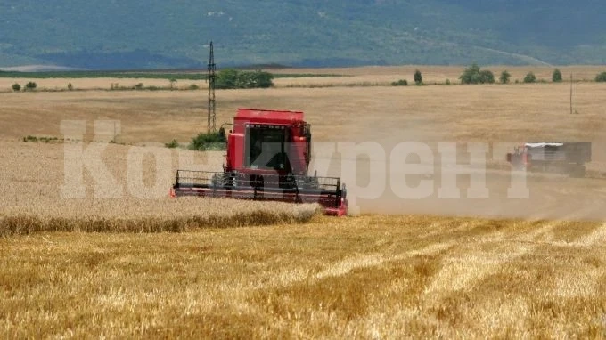 Добри са добивите от жътвата в Монтанско