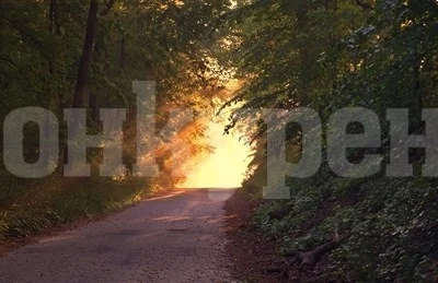 Днес ще е слънчево до обяд, след това - облаци и дъжд на места