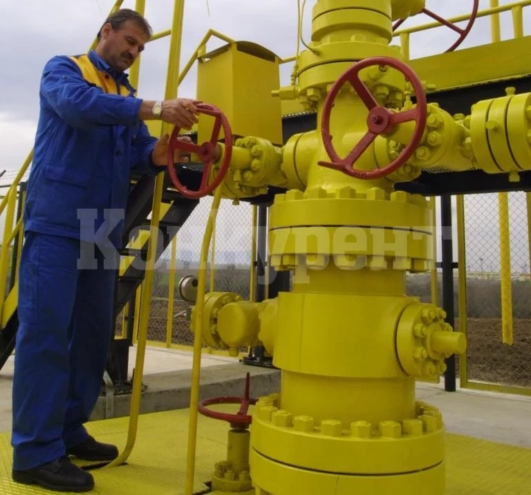 До края на годината правят екооценка на газопровода Солун - Неготино