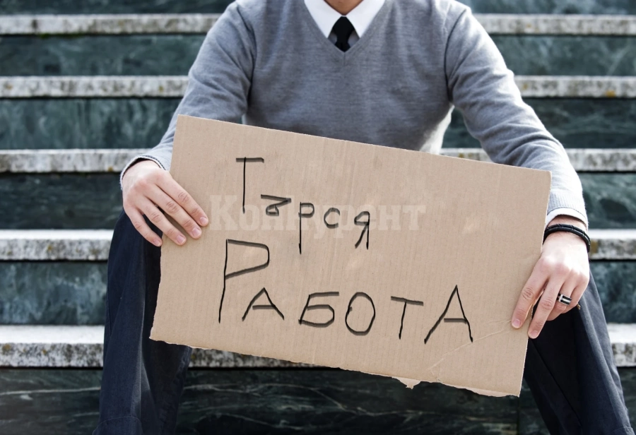 Вижте свободните работни места в Монтанско