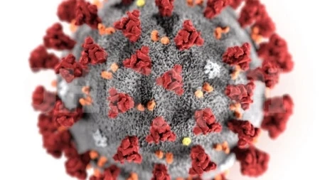 Голям ръст на новозаразените с коронавирус