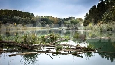 Откриха мъж в безпомощно състояние в коритото на Владайска река