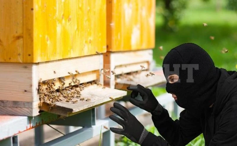 Търсят апаши, задигнали 6 кошера