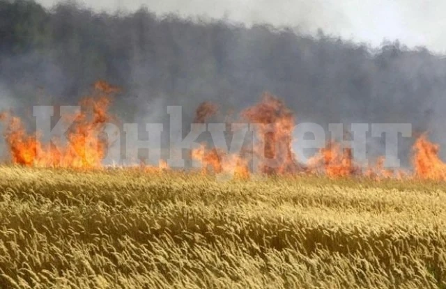 120 декара треви и стърнища изгоряха за ден в Монтанско