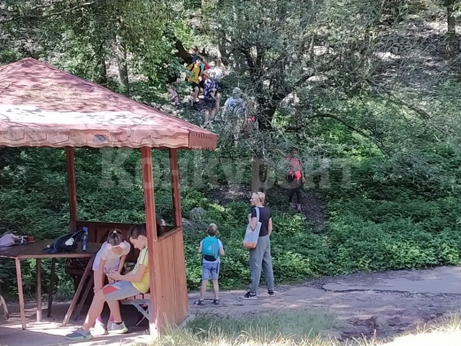 Десетки малчугани тръгнаха на разходки сред природата във Враца
