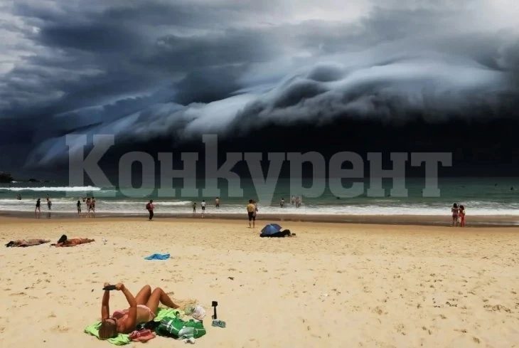 Страховито същество бе изхвърлено на плаж от морските вълни СНИМКА
