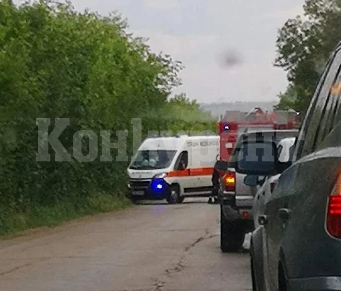 Зрелищна каскада! Млад мъж се размаза с „Голф”-а си в дърво между Козлодуй и Хърлец в болница е СНИМКА