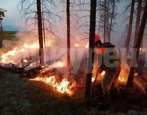 Пожари изтормозиха огнеборците във Видинско