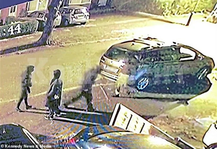 Крадци с мачете влязоха да обират къща, но ... ВИДЕО