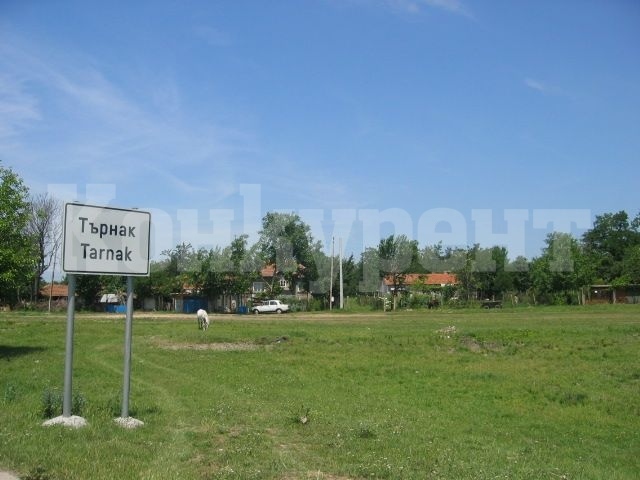 Затварят завода за лекарства в Търнак?
