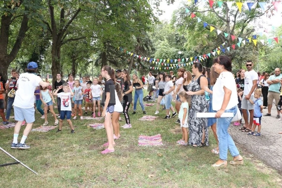 С много настроение стартира Summer Vibes Festival Vidin 2020 СНИМКИ