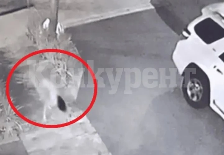 ВИДЕО 18+: Разгадаха тайната с чисто голото момиче, бягащо на 4 крака