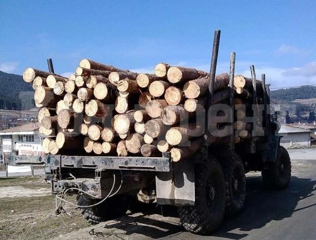 Иззеха камион, натоварен с дърва