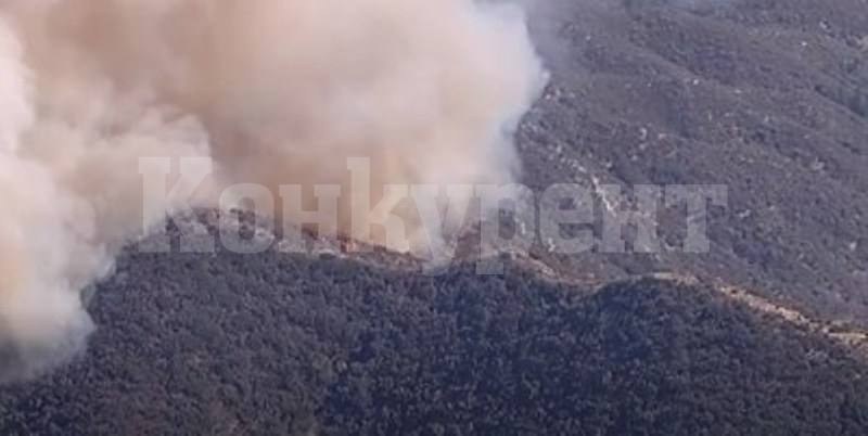 Голям горски пожар край Лос Анджелис, евакуираха около 500 къщи (Видео)