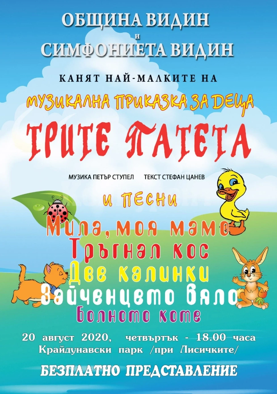 Организират безплатен концерт за деца на Симфониета Видин в крайдунавския парк