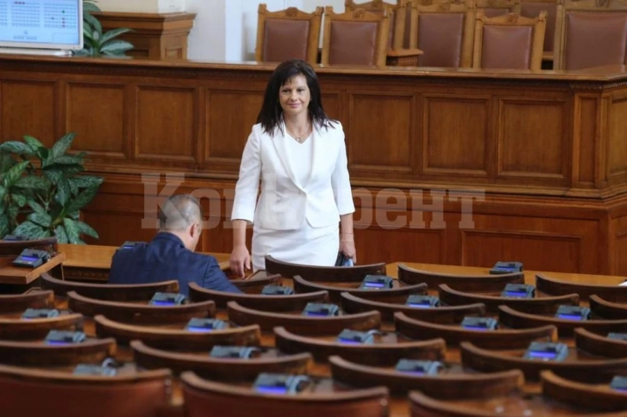 Дариткова внесе проекта за нова Конституция в парламента