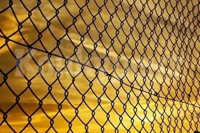 Сърбия изгражда телена ограда на границата си със Северна Македония