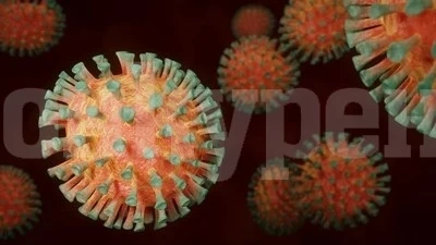 Общо 11 пациенти са с COVID-19 в ломската болница