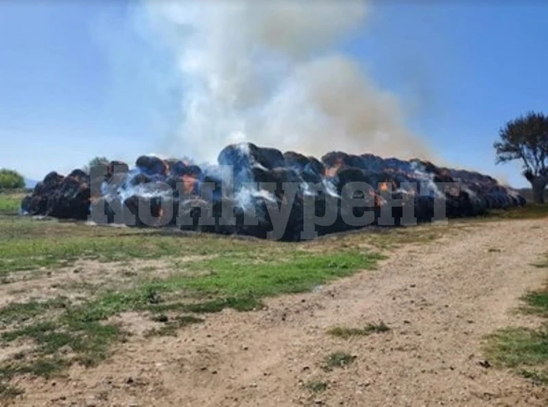 Запалиха над 2000 бали люцерна на кметицата на Брусарци