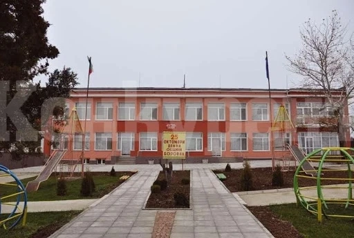 Непрекъснат образователен процес за децата и младежите от ЦНСТ-Борован