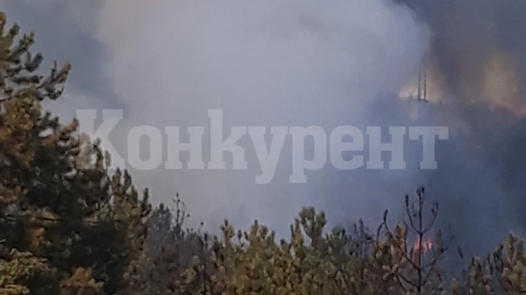 40 души гасят на ръка горския пожар над Карлово