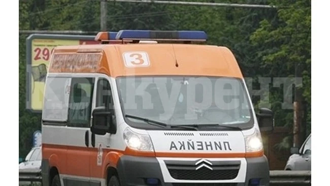 Кървав ужас в София с обезглавен човешки труп