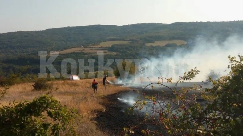 Огнеборци гасиха сухи треви край Иново