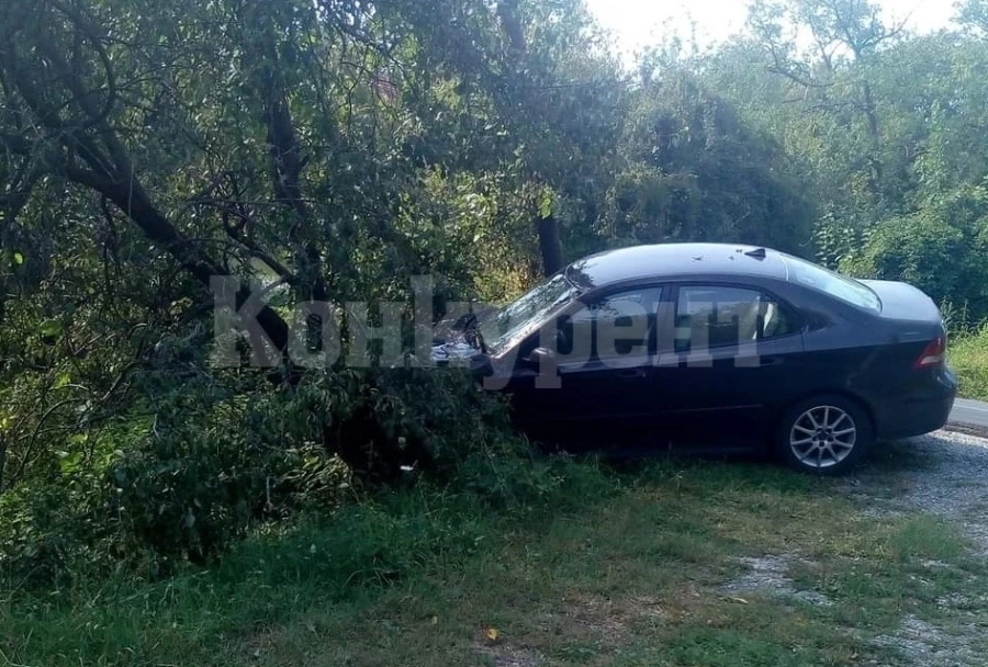 Шофьор обрули крушите край Люти дол СНИМКИ