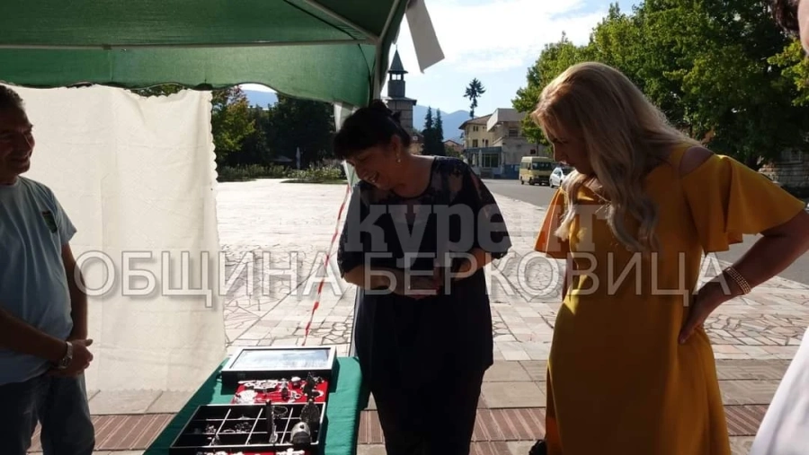 В Берковица се радват на изложение СНИМКИ