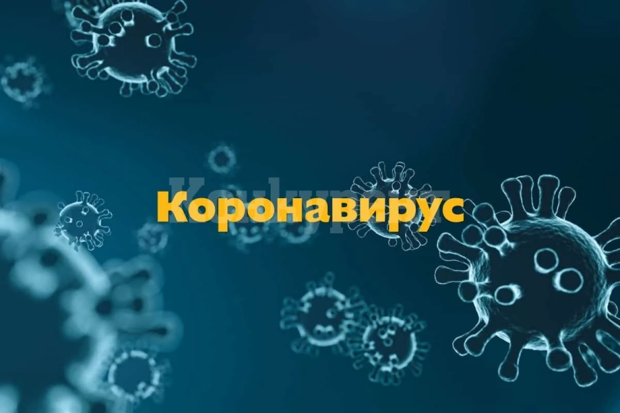 7 от 167 нови случая на Covid-19 у нас са в Северозапада