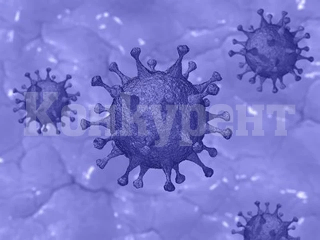 СЗО: През октомври и ноември ще има по-висока смъртност от COVID-19