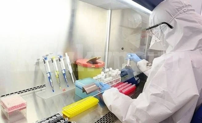 6 са новите случаи на COVID-19 в Северозапада
