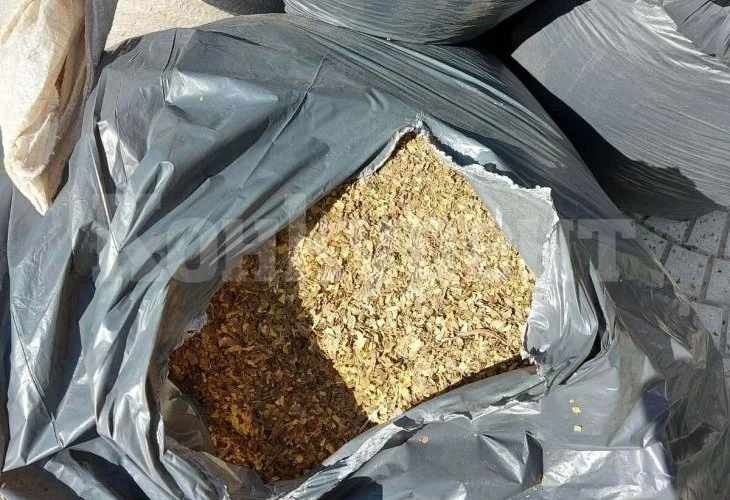 Спецакция в пловдивския кв. „Столипиново“, удариха...