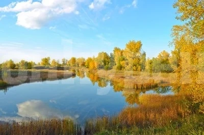 Слънчева и прохладна неделя