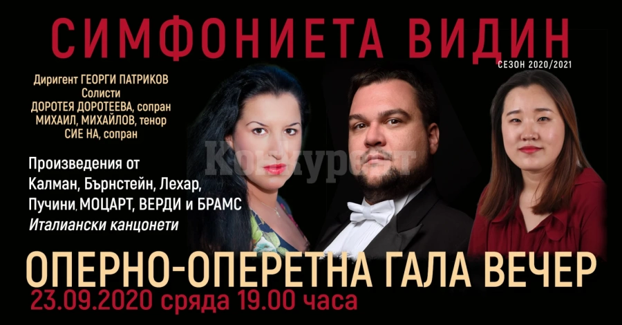 Интересен концерт представят във Видин