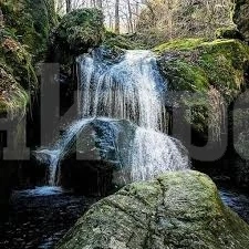 В деня на Независимостта Берковица тръгва към Хайдушките водопади
