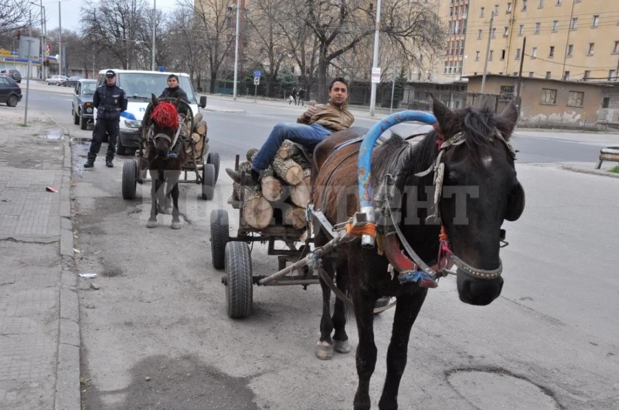 Хванаха бракониери, напълнили две каруци с незаконни дърва