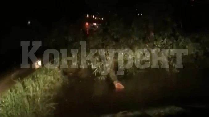 Паднали дървета препречиха пътя през Петрохан