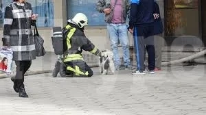 Пожарникари вадиха куче, паднало в канал в Монтана