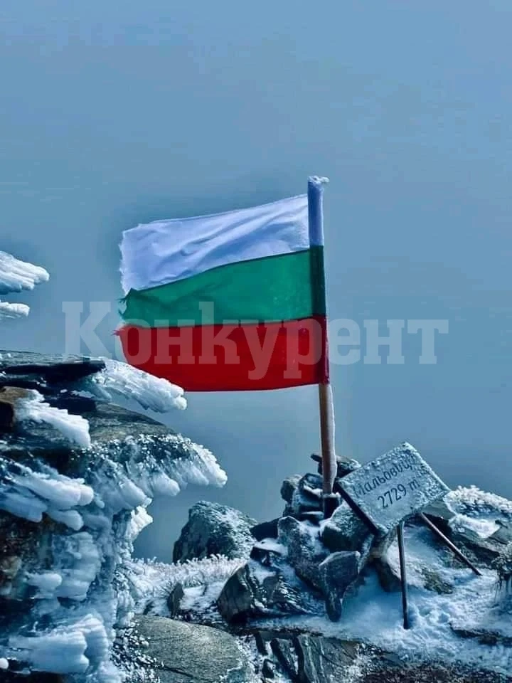 Сипе сняг! Мальовица вече е с бяла премяна СНИМКИ