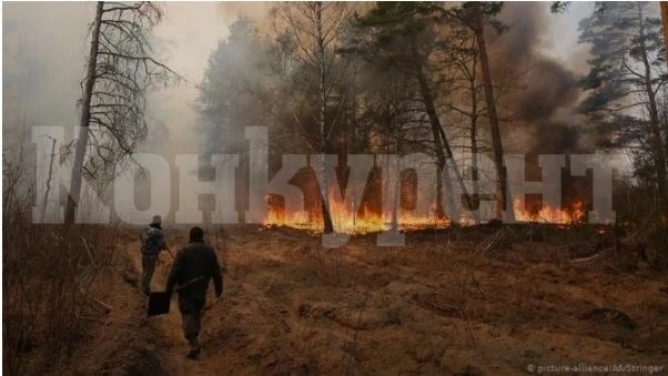 Пожар остави 8 семейства без дом