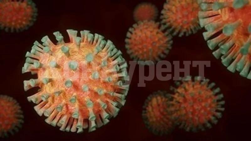 Епидемиолог съобщи за неточни данни за починалите с COVID-19 в Сърбия