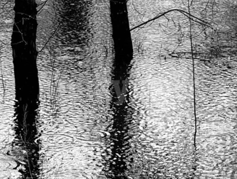 1 загинал и двама в неизвестност при наводнения в Северна Италия  
